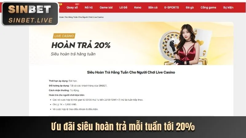 Ưu đãi đặc biệt chỉ dành cho thành viên VIP
